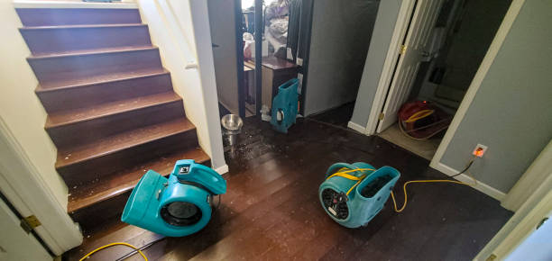 Best Water damage cleanup near me  in Justin, TX