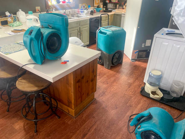 Best Water damage restoration near me  in Justin, TX