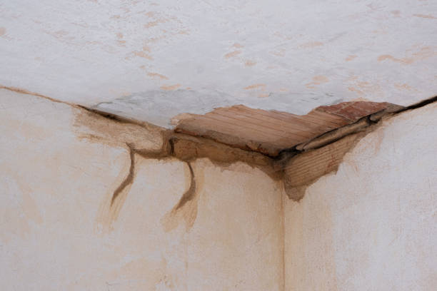 Best Sewage cleanup and water damage restoration  in Justin, TX