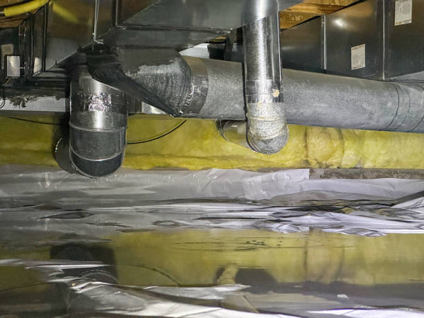 Best Ceiling water damage repair  in Justin, TX