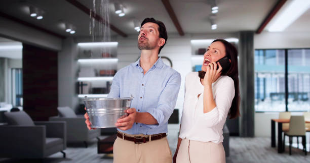 Best Professional water damage repair  in Justin, TX