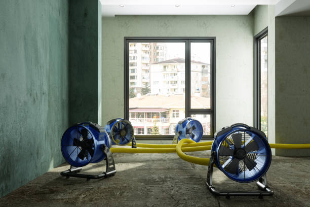 Best Local water damage restoration  in Justin, TX